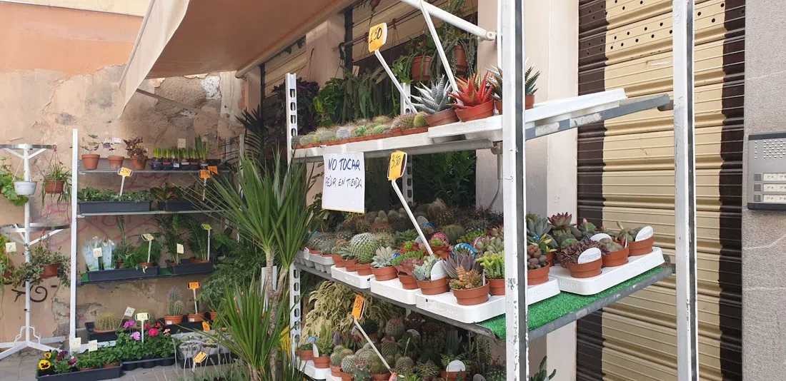Mercado San Agustín, Granada