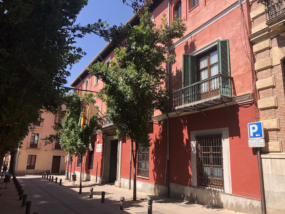 Palacio de los Condes de Gabia — photo 2