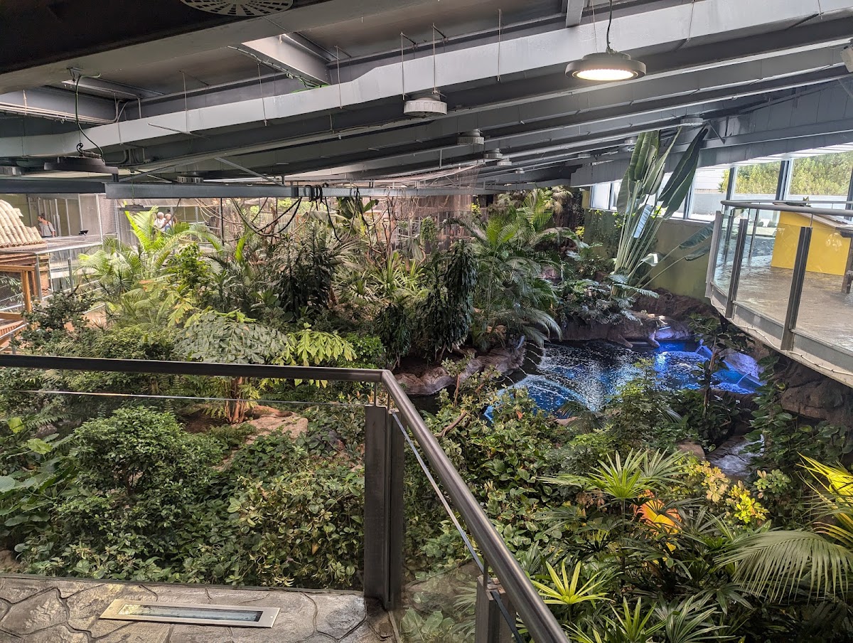 Parque de las Ciencias — photo 3