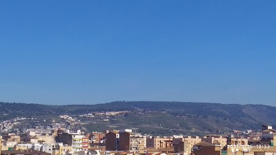 Zaidín